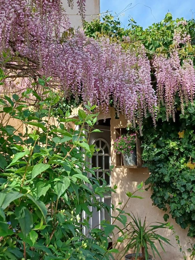 Suite Avec Jardin Entre Aix En Provence, Luberon Et Verdon Peyrolles-en-Provence Bagian luar foto